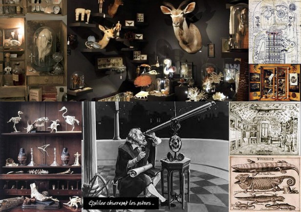 curiosites-montage